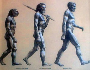 Evolution homme